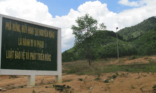 Thông điệp bảo vệ rừng tại xã An Hưng, huyện An Lão. Ảnh: Báo Tài nguyên & Môi trường.