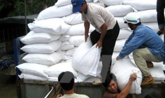 Thủ tướng quyết định cấp gần 3.600 tấn gạo cứu đói người dân 2 tỉnh