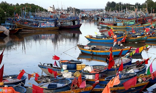 Gần 7.400 tàu thuyền ở Bình Thuận đã vào bờ neo đậu tránh bão. Ảnh: Zing.vn