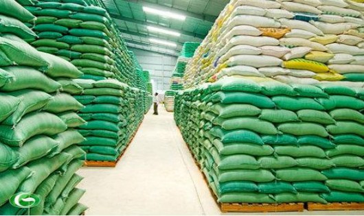 Bổ sung 553 tỷ đồng mua gạo dữ trữ quốc gia