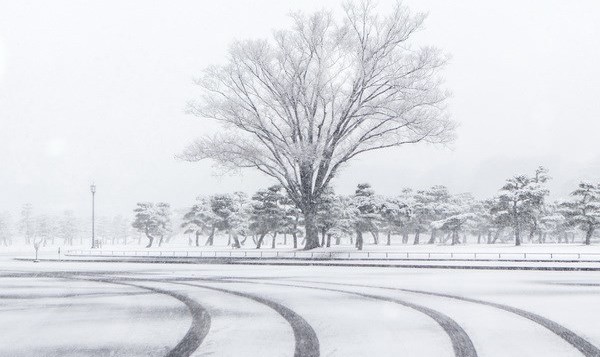 Tuyết rơi dày nhất tại Tokyo trong 4 năm qua, 16 người bị thương