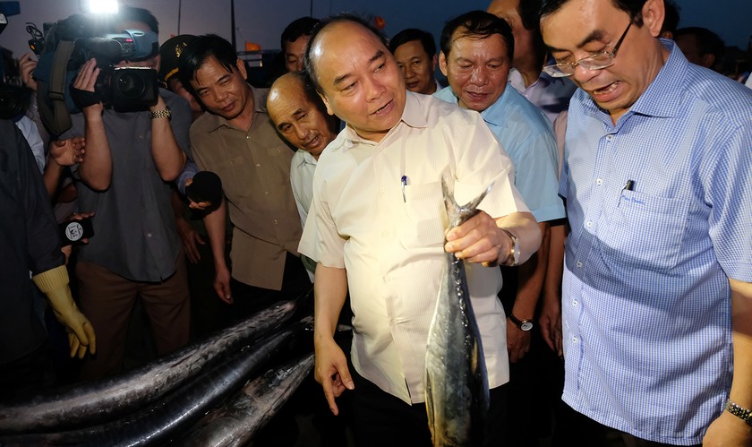 Chia vui với ngư dân miền Trung, Thủ tướng mua 10kg cá 'đãi' đoàn công tác