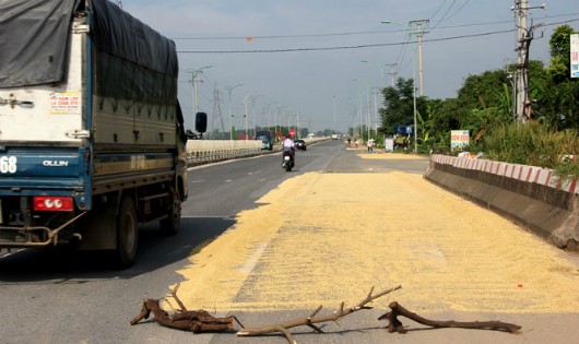 Người dân dùng cả cây khô, gạch, đá che chắn không cho xe đi vào khu vực phơi thóc, gây nguy hiểm cho nhiều người và phương tiện tham gia giao thông