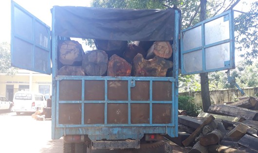 Xe gỗ tang vật đang bị thu giữ tại hạt kiểm lâm huyện Iagrai.