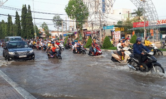 Xe “bơi” trên các tuyến đường trong nội ô TP Cần Thơ.