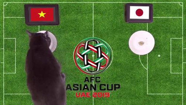 Mèo tiên tri dự đoán Việt Nam thắng Nhật Bản ở Asian Cup