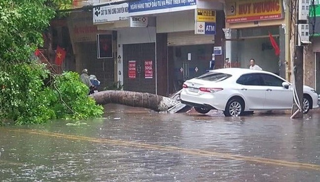 Cây đổ trong mưa tại đường Bạch Đằng – Hạ Lý, TP Hải Phòng. Ảnh: Công an TP Hải Phòng.