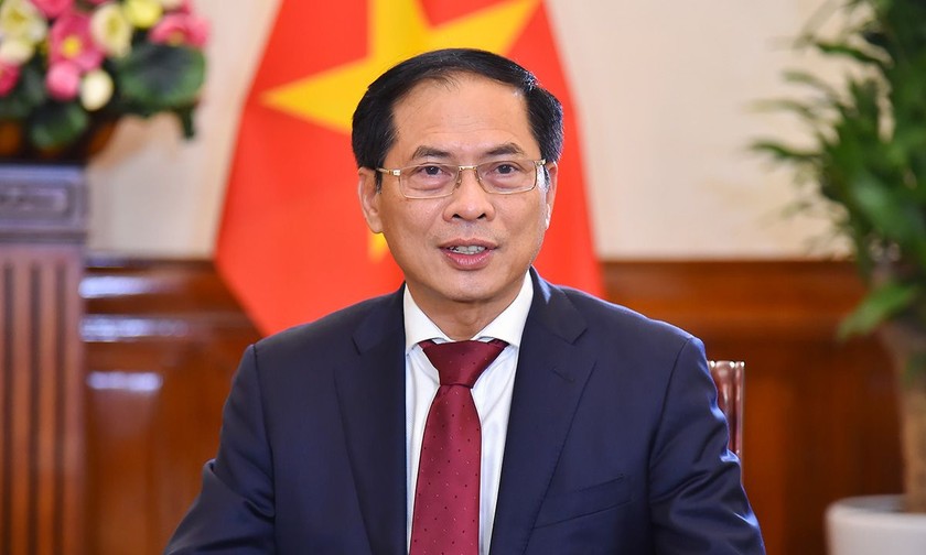 Bộ trưởng Bùi Thanh Sơn trả lời phỏng vấn. Ảnh: Báo Thế giới và Việt Nam.