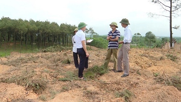 Ông Lê Quốc Khanh (áo sọc) và ông Lê Chánh Hợp (áo trắng đứng sau), trú thôn Tân Đa, xã Tân Thủy cùng PV tại hiện trường vụ phá rừng thông.