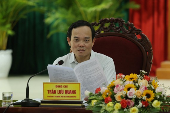 Phó Thủ tướng Trần Lưu Quang tại buổi làm việc.