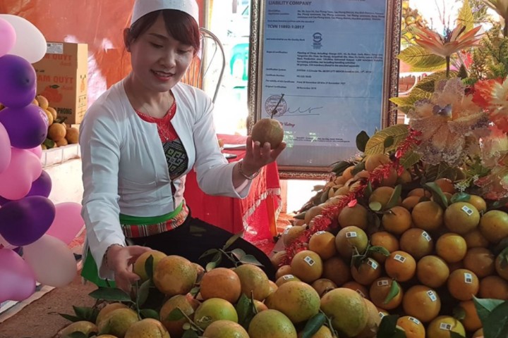 Sản phẩm cam Cao Phong thơm ngon đặc trưng được bày bán tại Lễ hội Cam Cao Phong 2022 (Ảnh: Báo Hòa Bình)