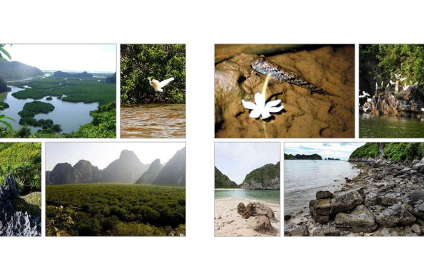 Một số hệ sinh thái tại vịnh Hạ Long - quần đảo Cát Bà.