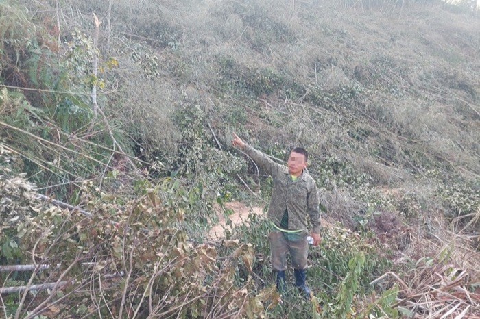 Giàng Văn Bằng tại hiện trường vụ phá rừng.