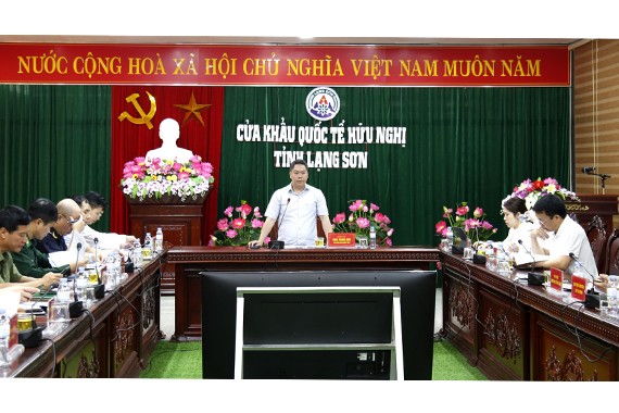 Phó Chủ tịch UBND tỉnh Đoàn Thanh Sơn phát biểu tại buổi làm việc (Ảnh: Cổng thông tin Lạng Sơn)