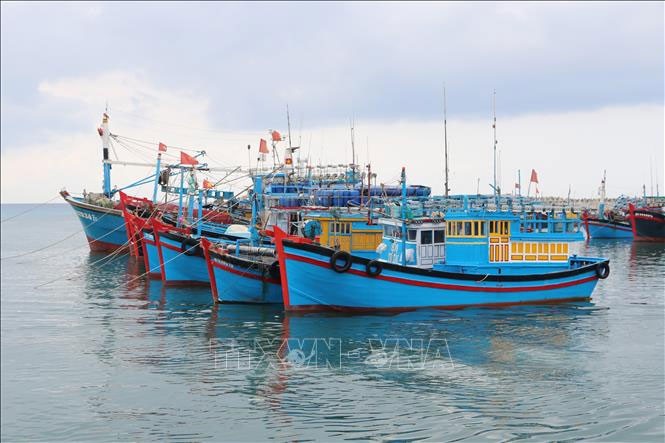 Tàu đánh bắt xa bờ neo đậu tại cảng cá Mỹ Tân ở xã Thanh Hải (huyện Ninh Hải, Ninh Thuận). Ảnh: TTXVN 