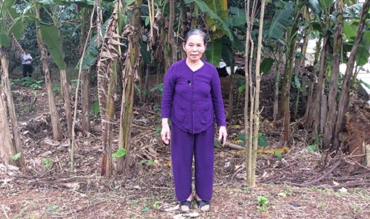 Bà Nguyễn Thị Hà bên thửa đất mà bà canh tác hàng chục năm nay bị cấp
cho người khác.
