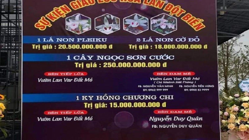 Mức giá gây sốc cho dư luận trong một giao dịch lan đột biến ở Quảng Ninh. (Ảnh: Nguồn Internet).