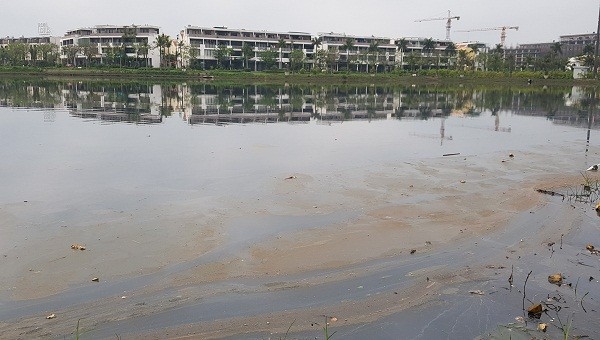 Hồ nước bốc mùi hôi thối bên cạnh dự án Lotus Residences của Tập đoàn BIM Group 