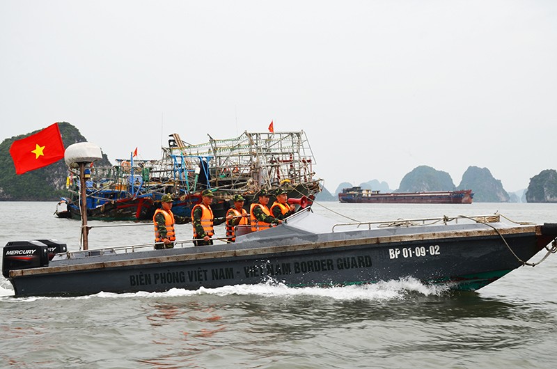 Bộ đội Biên phòng tỉnh Quảng Ninh, vận động, đưa ngư dân vào bờ tránh bão