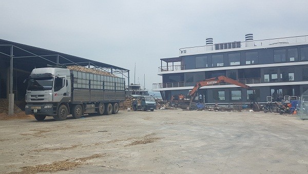 Công ty TNHH 1TV Dương Bảo bị tố lấn Vịnh Hạ Long, xây dựng nhà xưởng chế biến gỗ trái phép