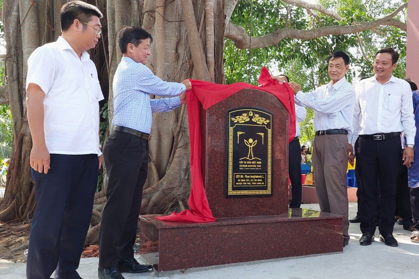 Cây đa 200 tuổi ở Long An được công nhận Cây di sản Việt Nam