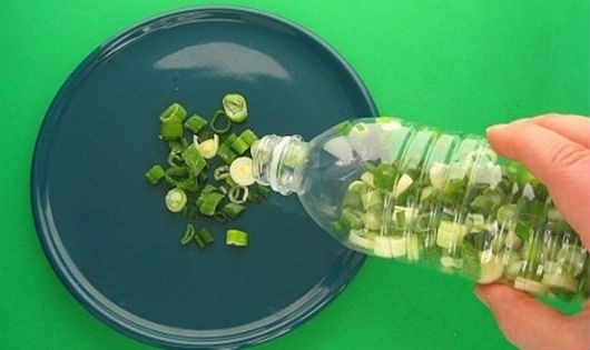 Hành lá bảo quản được lâu hơn trong chai nhựa