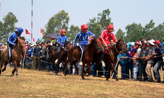 Các kỵ sĩ cưỡi ngựa chào khán giả trước cuộc đua tài