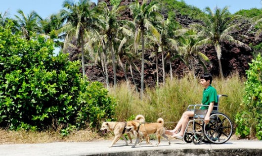 Những chú chó kéo xe lăn chở anh Huệ đã không còn xa lạ với người dân đảo Bé