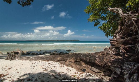 Bí mật kì lạ về hòn đảo nằm giữa Ấn Độ Dương