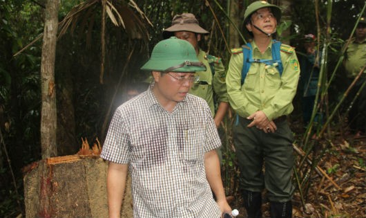  Ông Lê Trí Thanh cùng các lực lượng chức năng kiểm tra hiện trường phá rừng ở Đông Giang