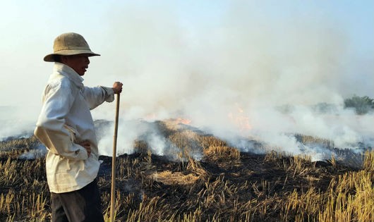 Một nông dân đốt đồng gần cao tốc Long Thành – Dầu Giây