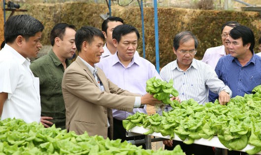 Phó Thủ tướng Vương Đình Huệ thăm khu nhà kính sản xuất rau sạch của HTX Tân Tiến, Đà Lạt. Ảnh: VGP