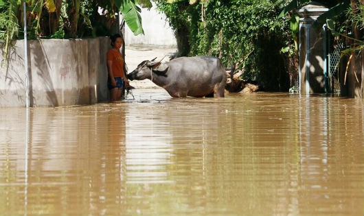Nhiều địa phương ở Nghệ An ngập trong nước giữa ngày nắng