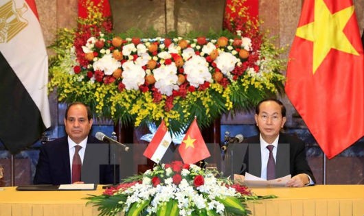 Chủ tịch nước Trần Đại Quang và Tổng thống Ai Cập Abdel Fattah el-Sisi chủ trì họp báo thông báo kết quả hội đàm. Ảnh: TTXVN.