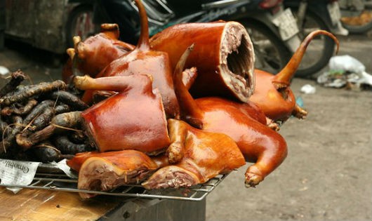 Hà Nội tuyên truyền phổ biến cho người dân hạn chế ăn thịt chó, mèo để phòng bệnh dại