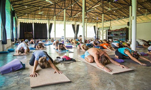 Lớp yoga ở trường Agama Yoga trên đảo Koh Phangan, Thái Lan