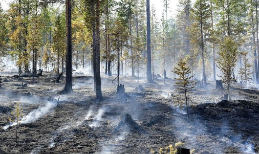  Khói bốc lên tại rừng ở khu vực Sarna, Thụy Điển trong đợt nắng nóng tại châu Âu năm 2018