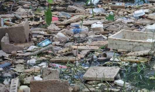 Hạn chế tác hại của rác thải nhựa cách nào?