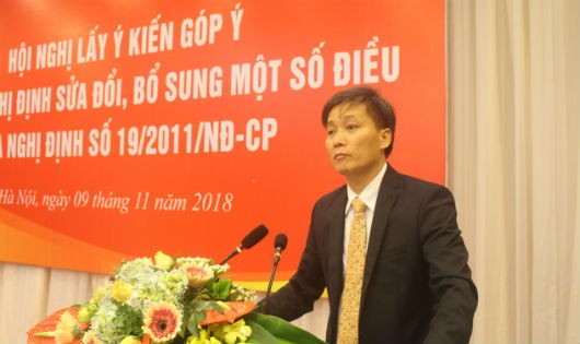 Thứ trưởng Nguyễn Khánh Ngọc cho rằng cần thiết phải sửa Nghị định 19 về con nuôi.