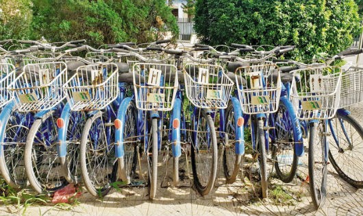 Xe đạp công cộng xếp hàng đìu hiu trong Trường Đại học Công nghiệp.