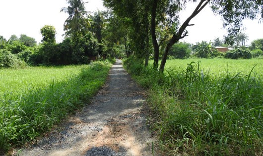 Một con đường trong bán đảo Thanh Đa.