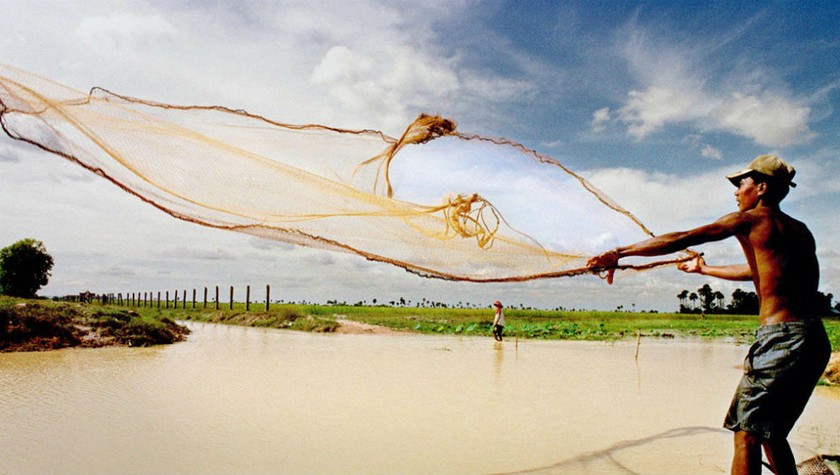 Ngư dân Campuchia quăng lưới xuống hồ Tonle Sap