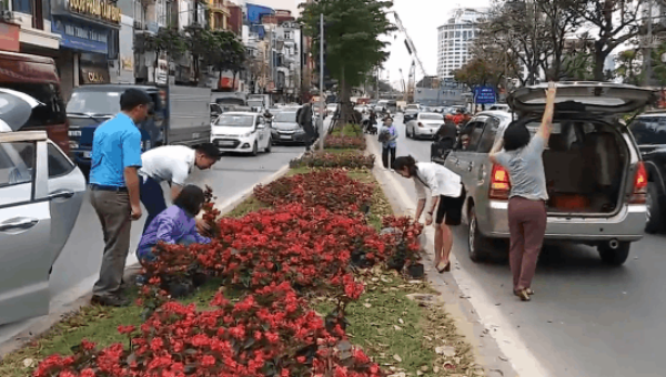 Cảnh người dân lấy hoa trên đường Kim Mã