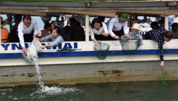 Thả cá tái tạo nguồn lợi thủy sản tại Bến Ninh Kiều, thành phố Cần Thơ