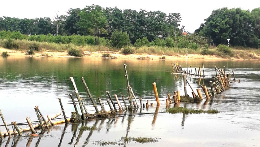 Hàng rào tre được người dân đóng xuống sông Bồ nhằm ngăn chặn tàu thuyền chở cát, yêu cầu Công ty Tuấn Hải ngừng khai thác.