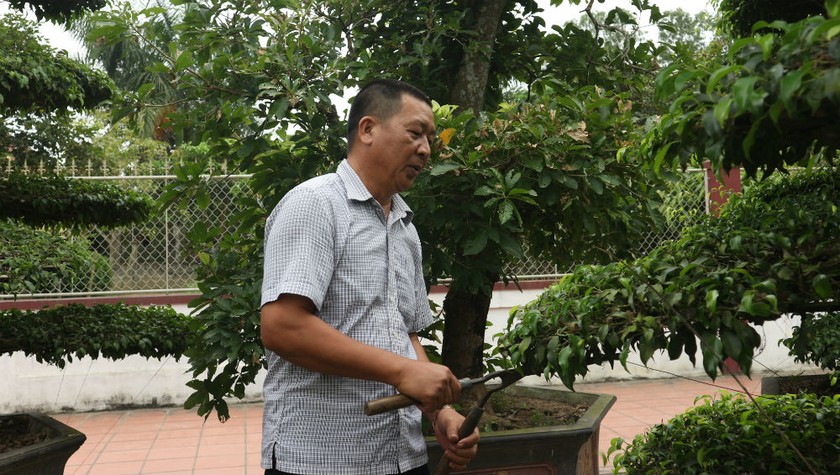 Ông Nguyễn Viết Châu chia sẻ về quá trình hơn 20 năm kinh doanh cây cảnh, cây bóng mát.