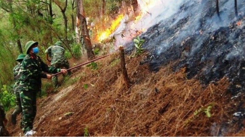 Cán bộ, chiến sĩ LLVT Quân khu 4 dập lửa tại khu vực xã Khánh Sơn, huyện Nam Đàn, tỉnh Nghệ An