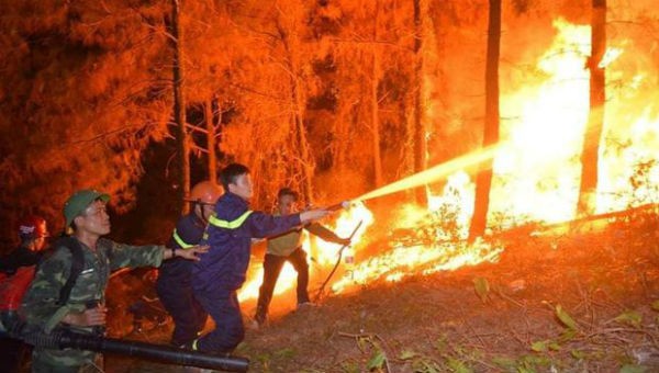 Hiện trường vụ cháy rừng ở Hà Tĩnh