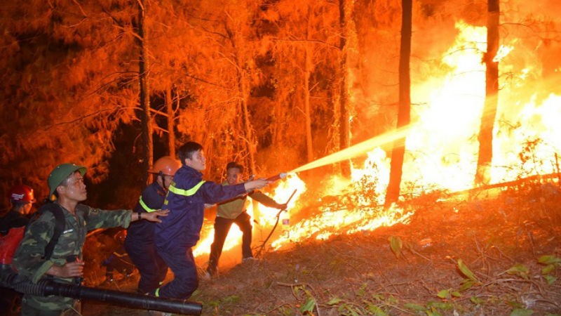 Hình ảnh lực lượng chữa cháy đang chiến đấu với “giặc lửa” để cứu rừng.