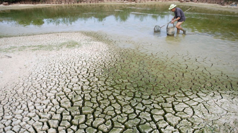 Biến đổi khí hậu ảnh hưởng trực tiếp đến cuộc sống nhiều người dân Việt Nam.